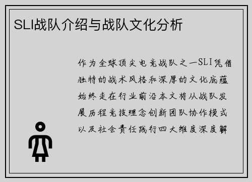 SLI战队介绍与战队文化分析